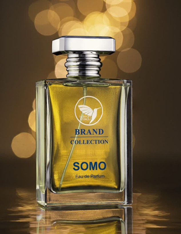 (SOMO( Silver Scen